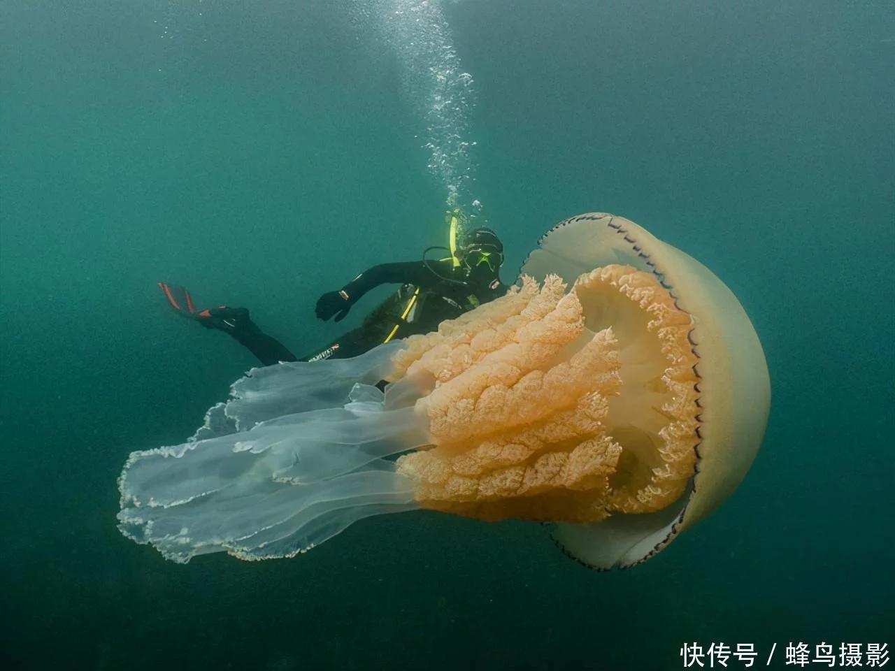 爆笑图集:金字塔的塔尖并不是尖的,上面可以踢足球