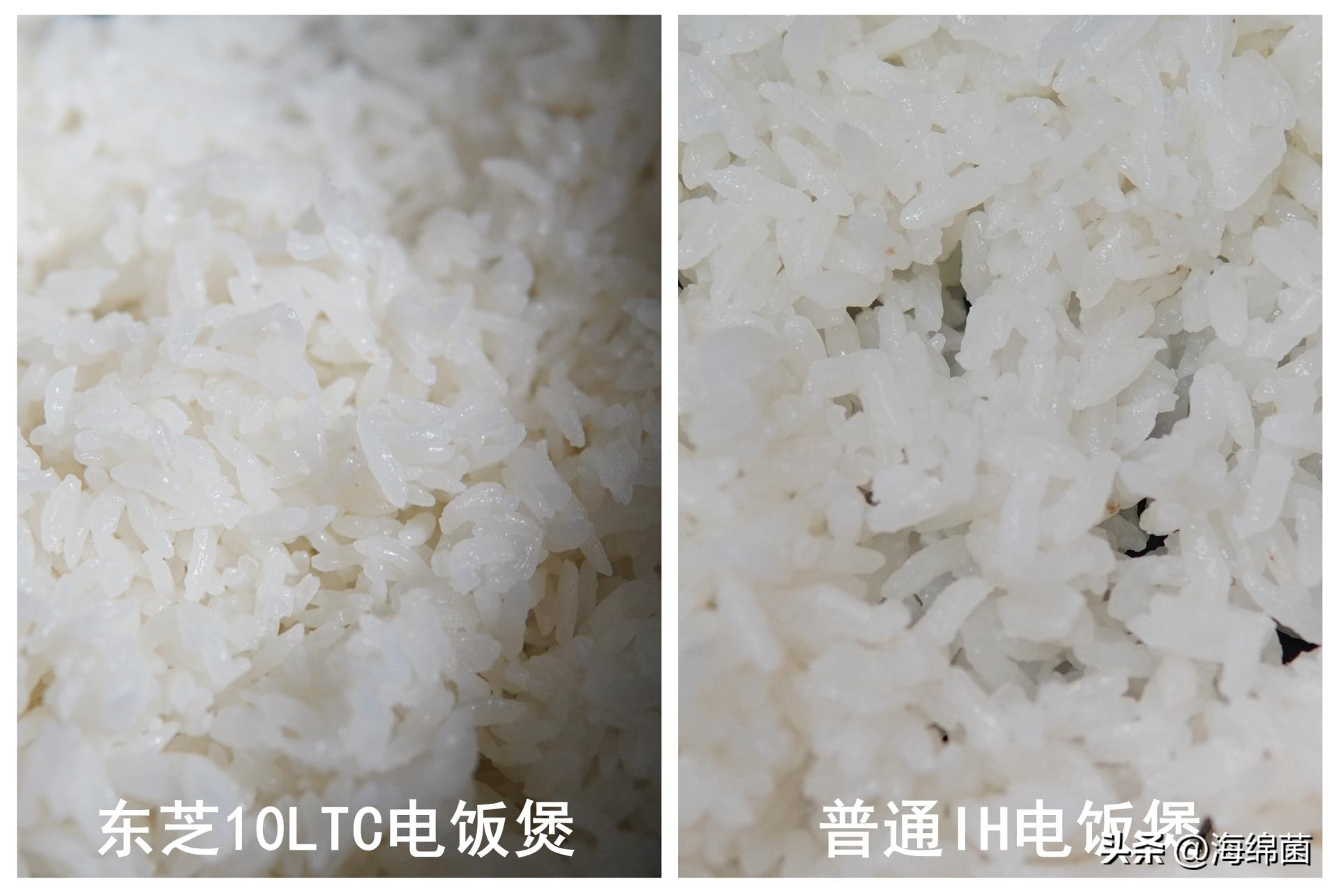 “灵魂米饭”离不开好电饭煲，厨房升级东芝电饭煲有感