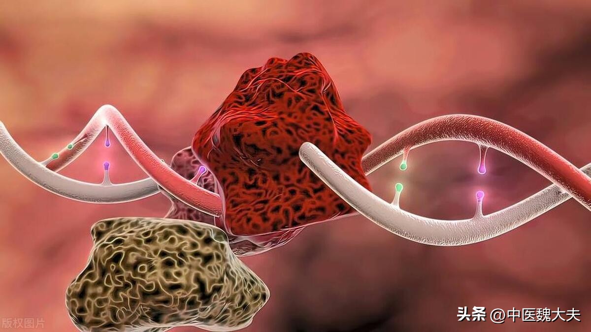 容易长子宫肌瘤的体质怎样调理,为什么50岁的女人容易长子宫肌瘤