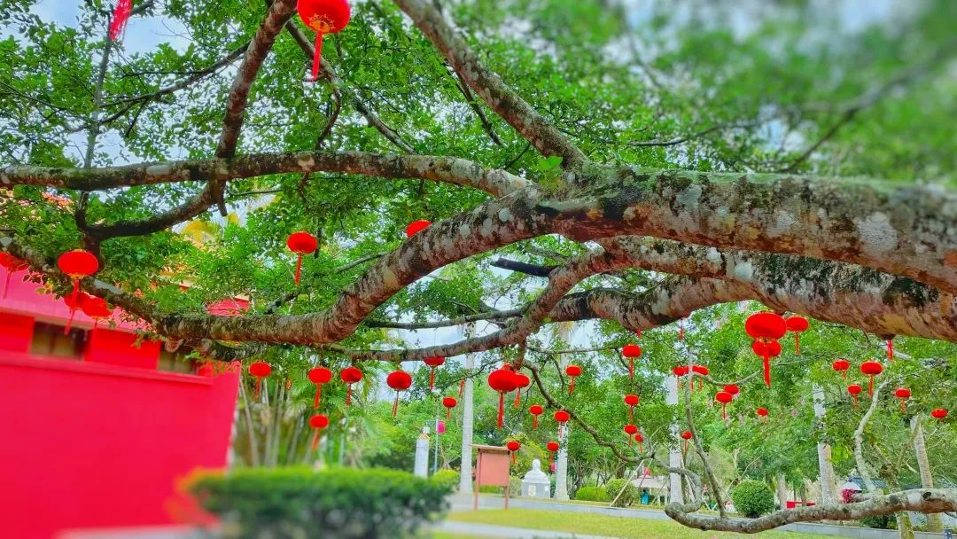 海南三天环岛游最佳路线,海南环岛游最佳路线图及美食费用