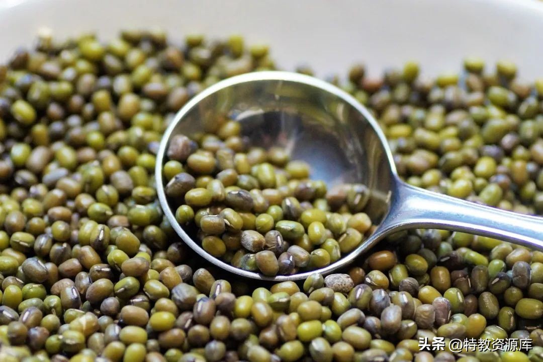 精细动作训练游戏0-3岁,教学儿童精细动作教案