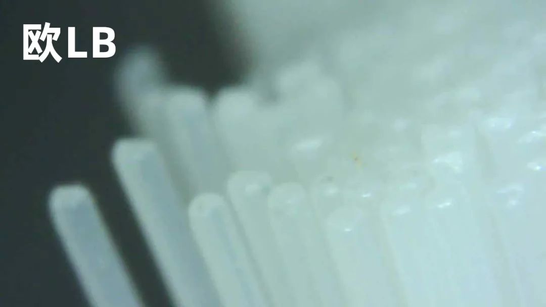 儿童声波全自动电动牙刷测评,显微镜下看牙刷