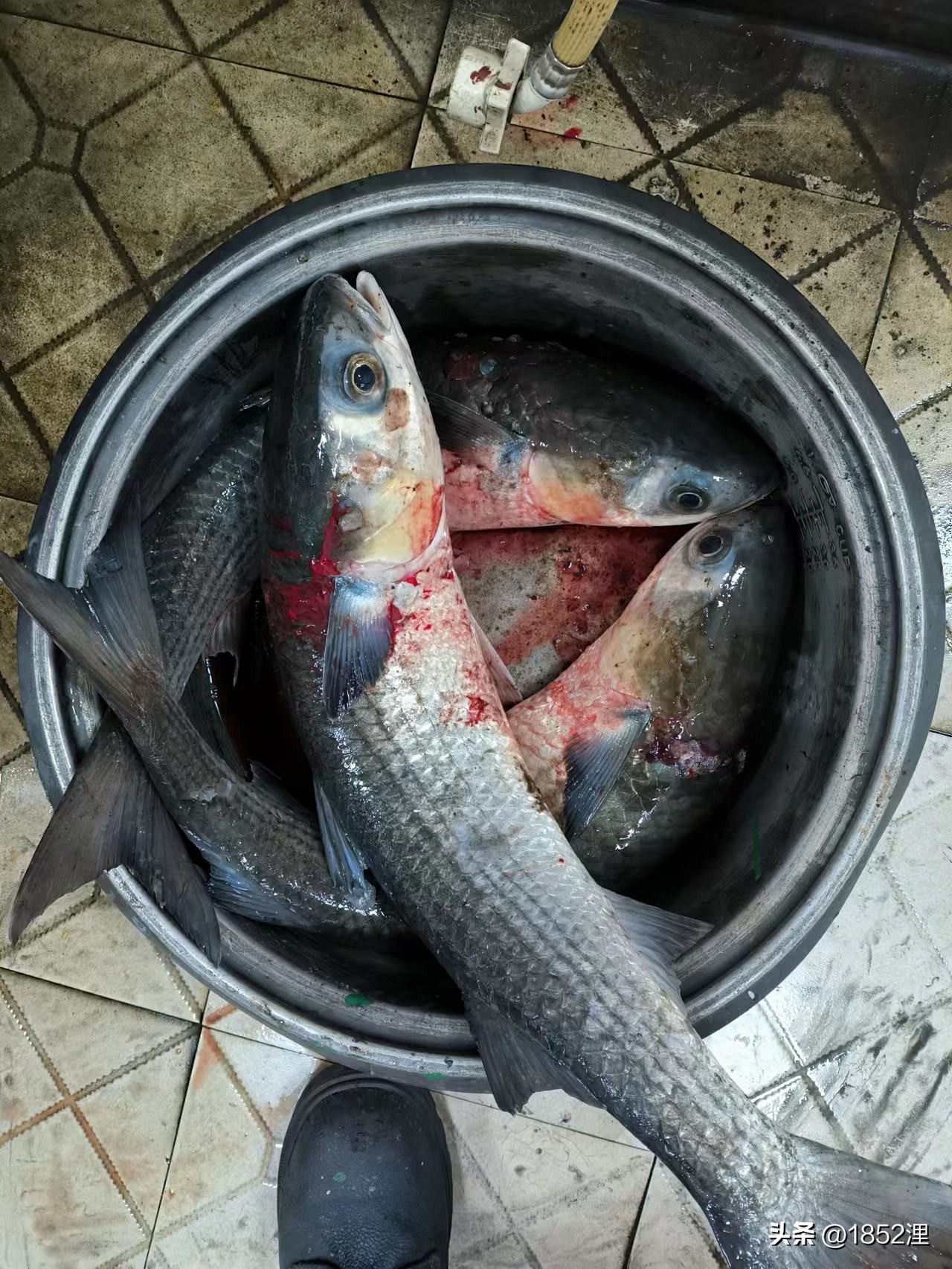 环球港,寰球港口简介