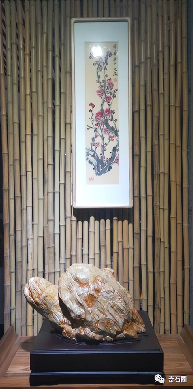 龟形奇石图片大全,获奖奇石龟图片大全