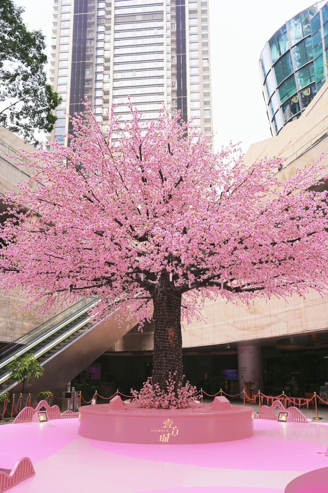 深圳人喜欢逛山姆店,深圳人喜欢逛步行街吗