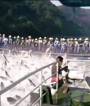 买新车适合发朋友圈的低调句子,朋友圈提新车评论