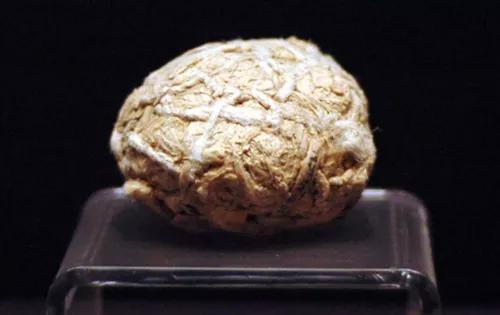 古代踢足球,中国古代女子足球