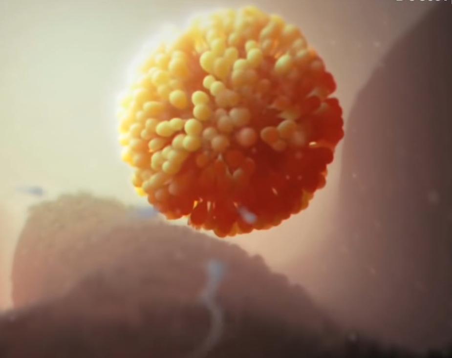 精子进入体内的24小时，都经历了什么？