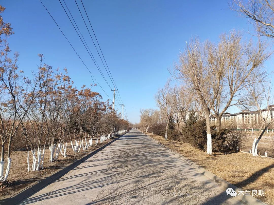 头发刚染完不喜欢接着再染可以吗,头发染还是不染