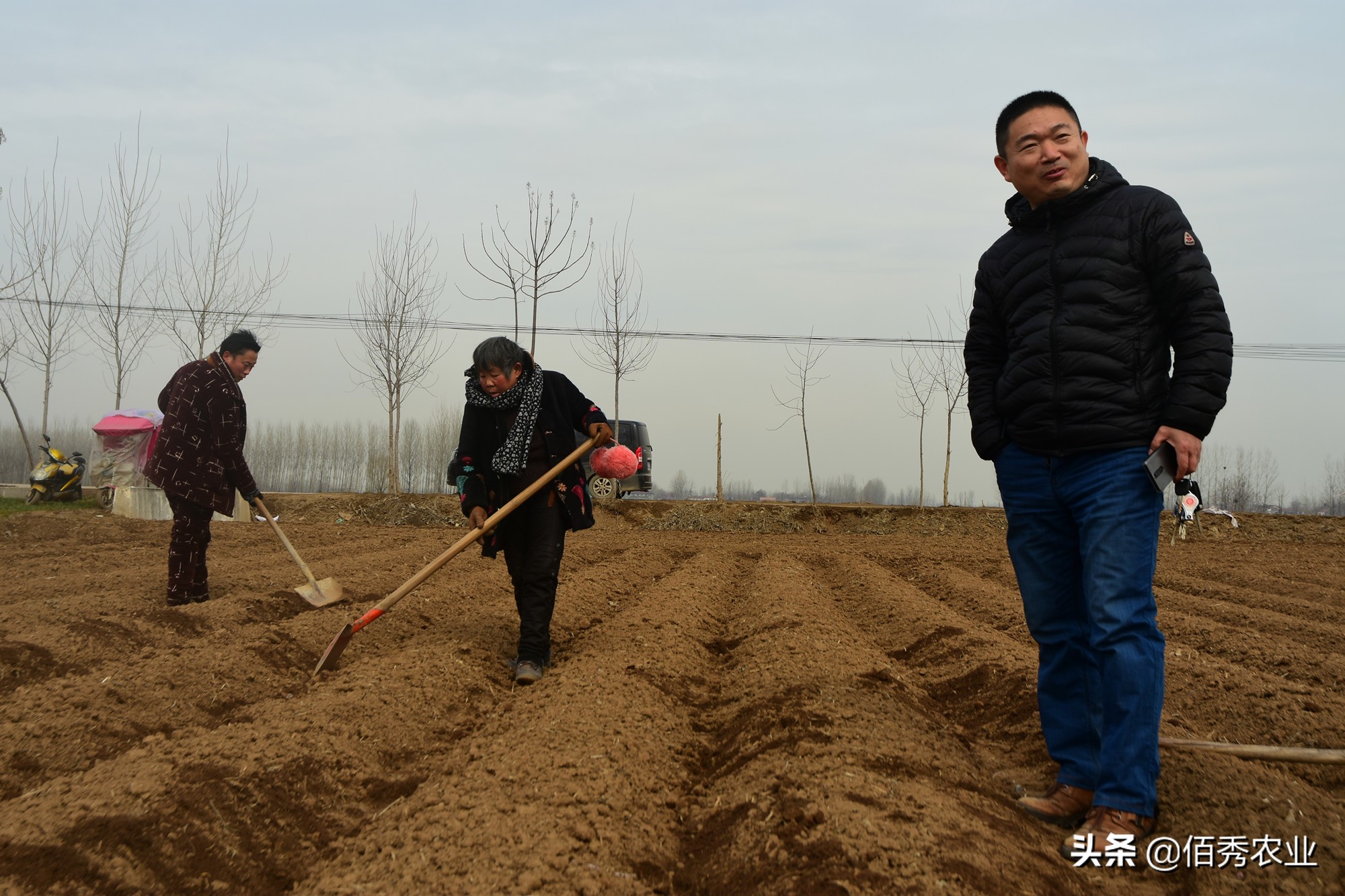 中药材价格上涨存在的问题,中药材涨价背后推手