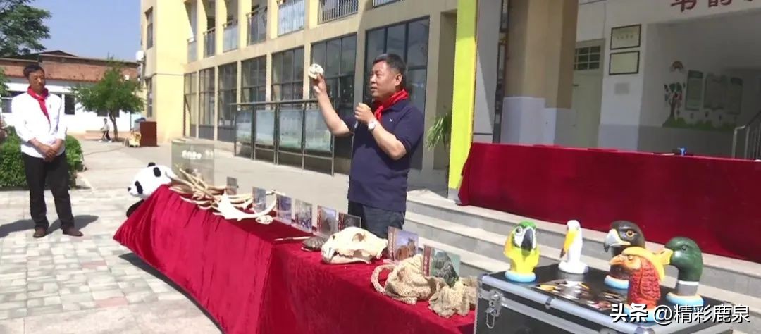 鹿泉：爱护动物共建生态家园