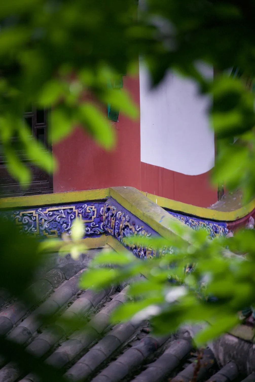 好评率99%！这个深得“特种兵”们青睐的小镇，深山觅静寺、秘境探幽意，私藏了整个夏日的色彩～