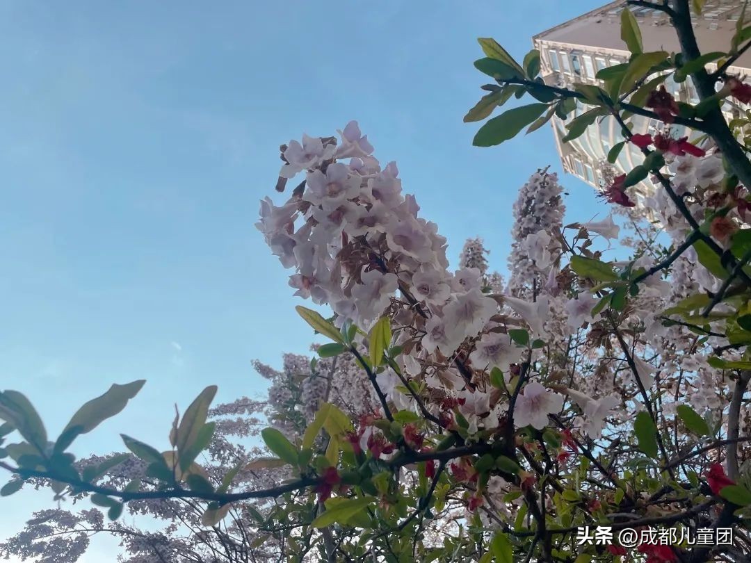 地铁3号线能到的美景地方,一号线地铁直达的风景