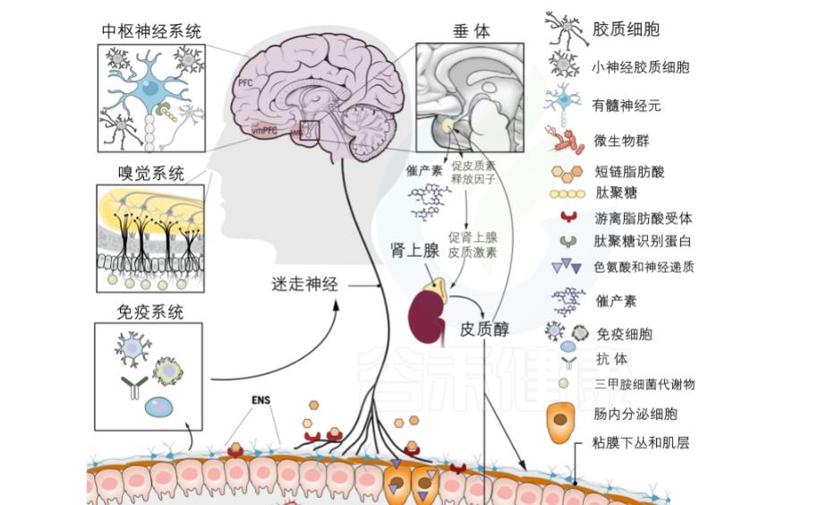 50岁后不论男女，有*生活性**和没有*生活性**，差别有多大？看完涨知识