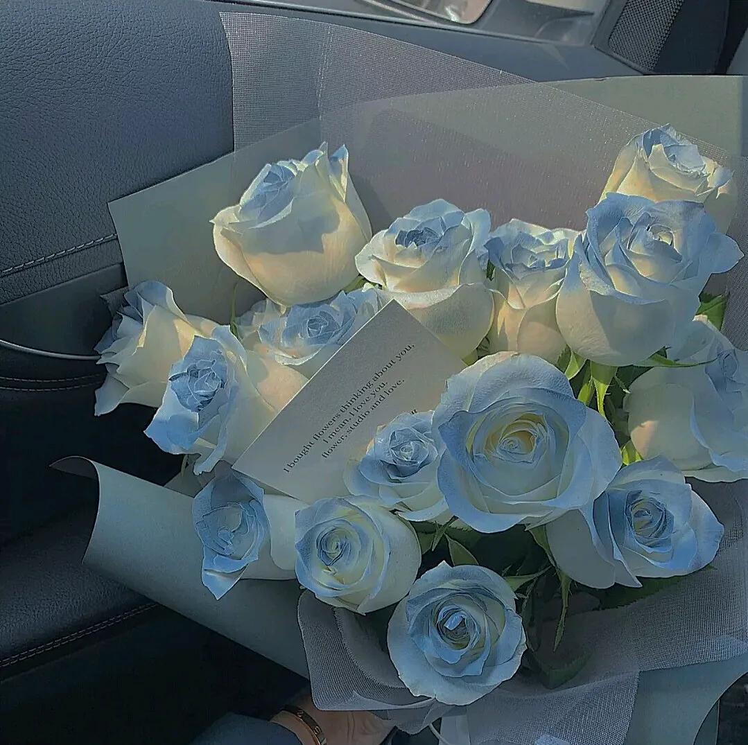 一朵白色玫瑰花的花语是什么,粉色玫瑰花和粉色绣球花花语