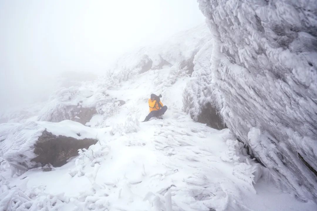 摄影师顾光辉：把爱好变成技能，摄影需要一种执着