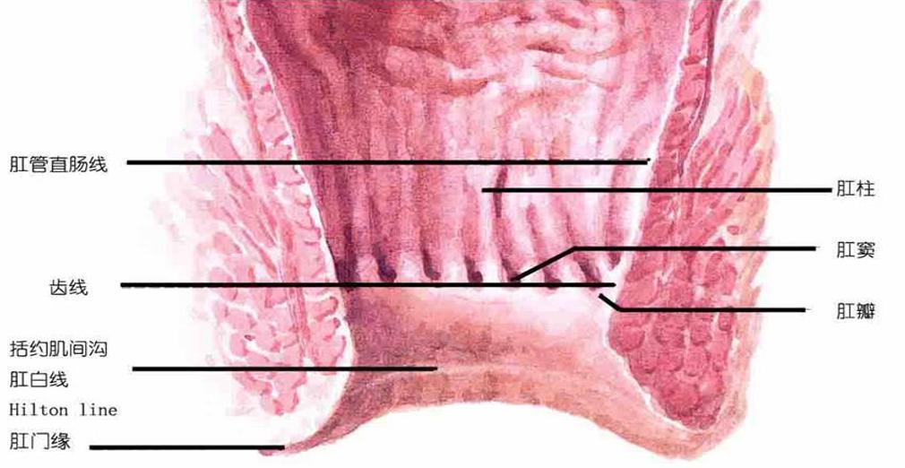荆门二医介入科,荆门二医重点专科