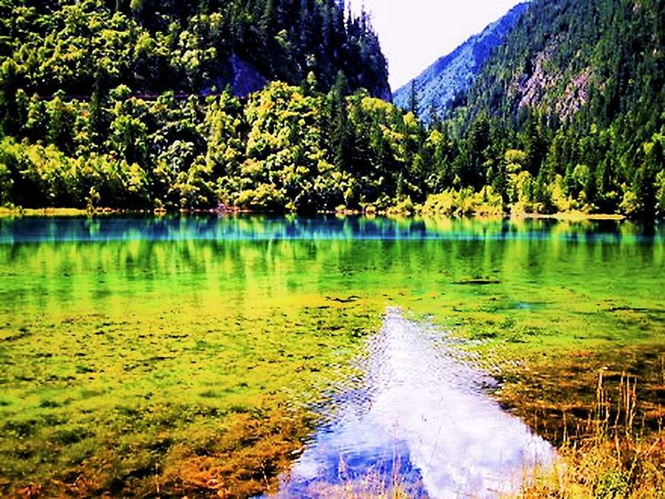 碧水逶迤湖色映九寨，银河泻影山水傲溟渤美篇制作：刘嘉国