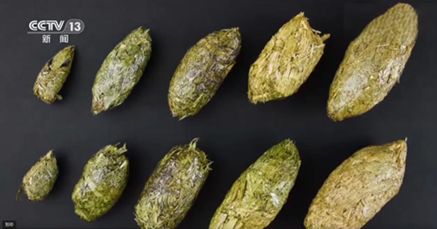 熊猫在各国的待遇相差到底有多大,熊猫在各国待遇