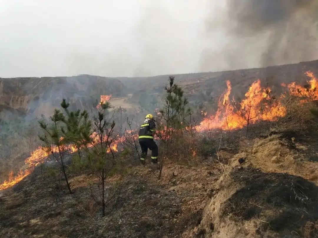 有关清明节的礼仪礼节,清明节祭祀礼仪规范