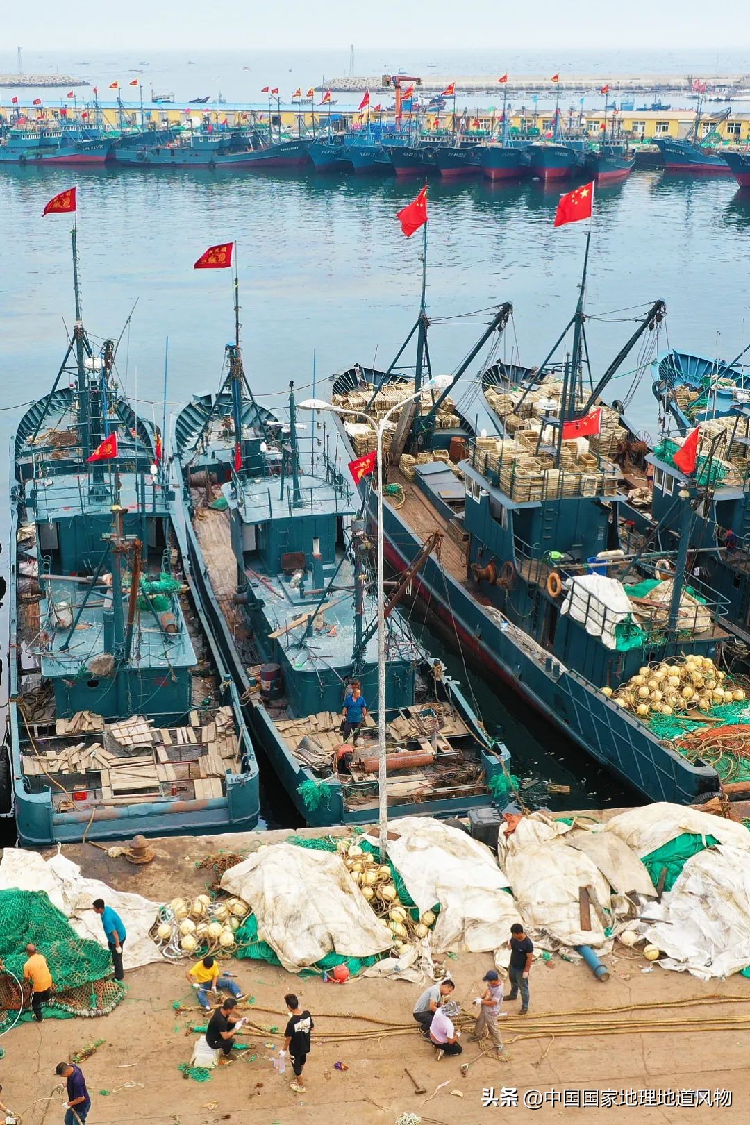 辽宁哪个地方的海鲜最好,辽宁各市都有啥海鲜
