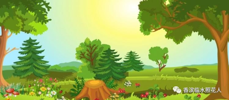 这儿真美作文三年级思维导图,三年级上册作文这儿真美思维导图