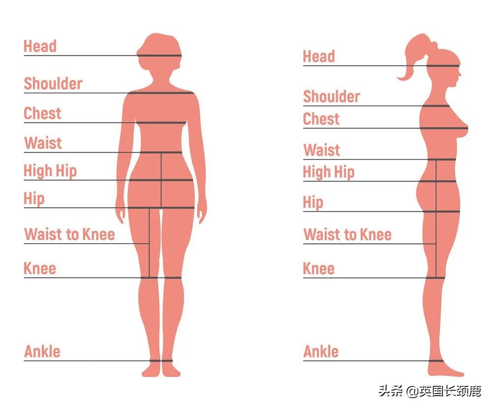 英国尺码和欧洲尺码对照表,英国尺码12码是中国的多少码
