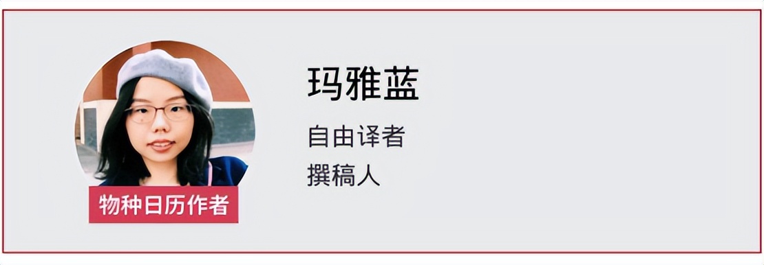 铲屎官感染了新冠能传给狗吗,确诊阳性铲屎官如何保护宠物