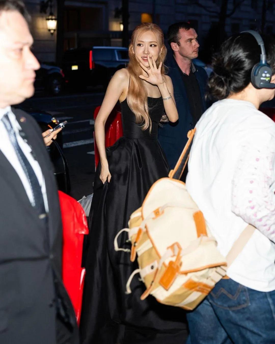 rosa澳洲野玫瑰,澳洲rose野玫瑰