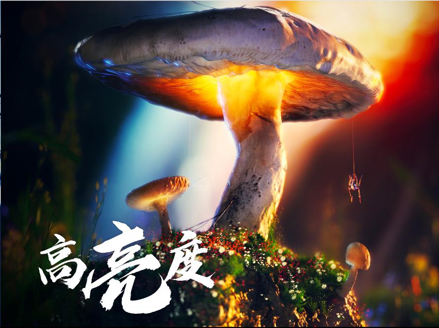 阿凡达2哪种影厅观影效果最好,阿凡达2厦门最佳观影影院