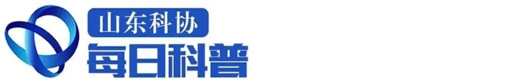 山东大虾头里的虾黄能吃吗,虾头能吃吗去虾线