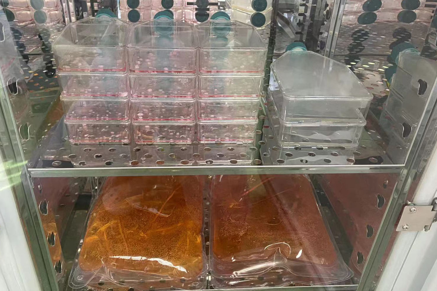 现实版“药神”！只有高中学历的他，为救儿子自行制“药”