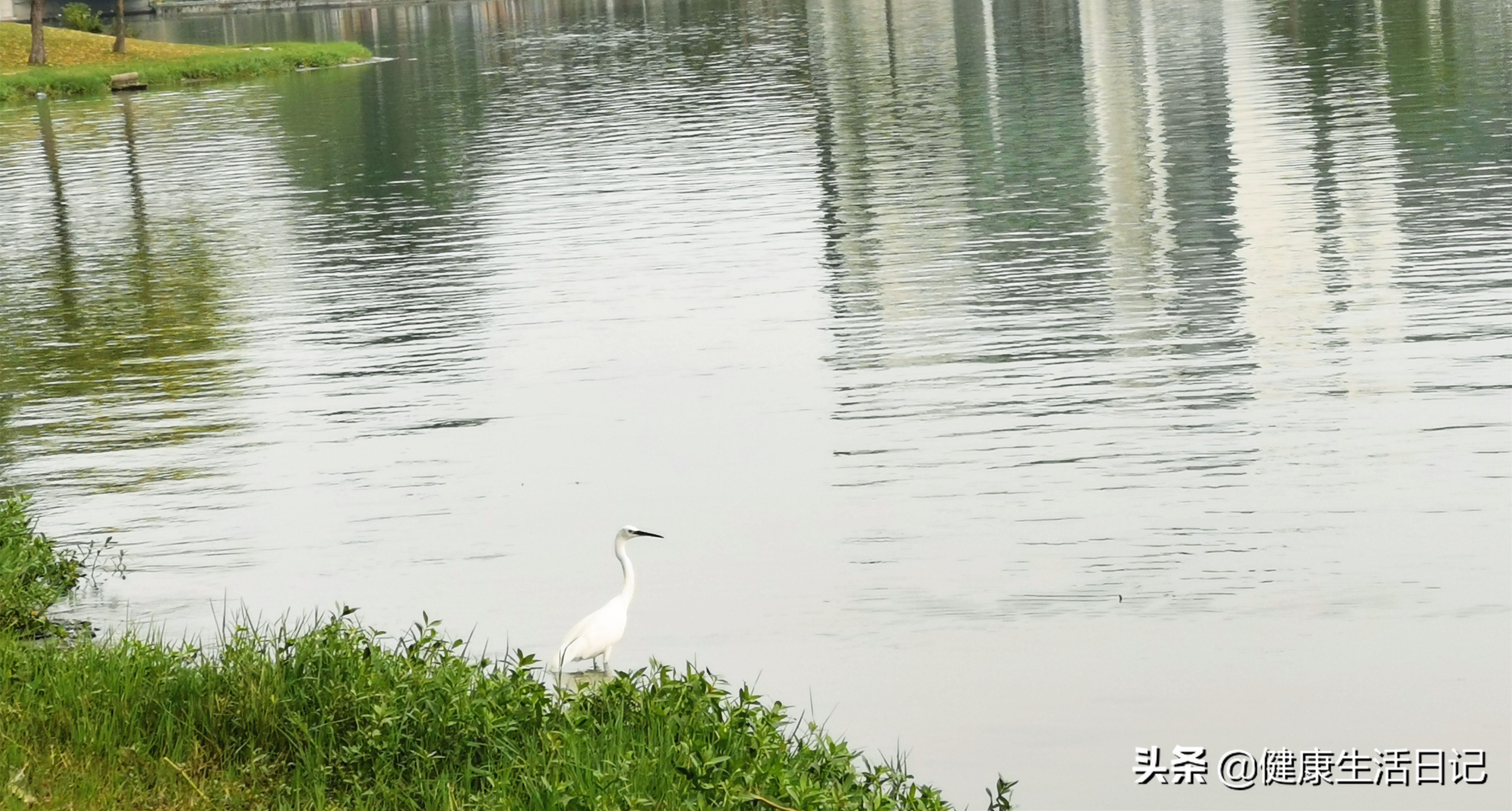 上海美兰湖度假,上海美兰湖好去处