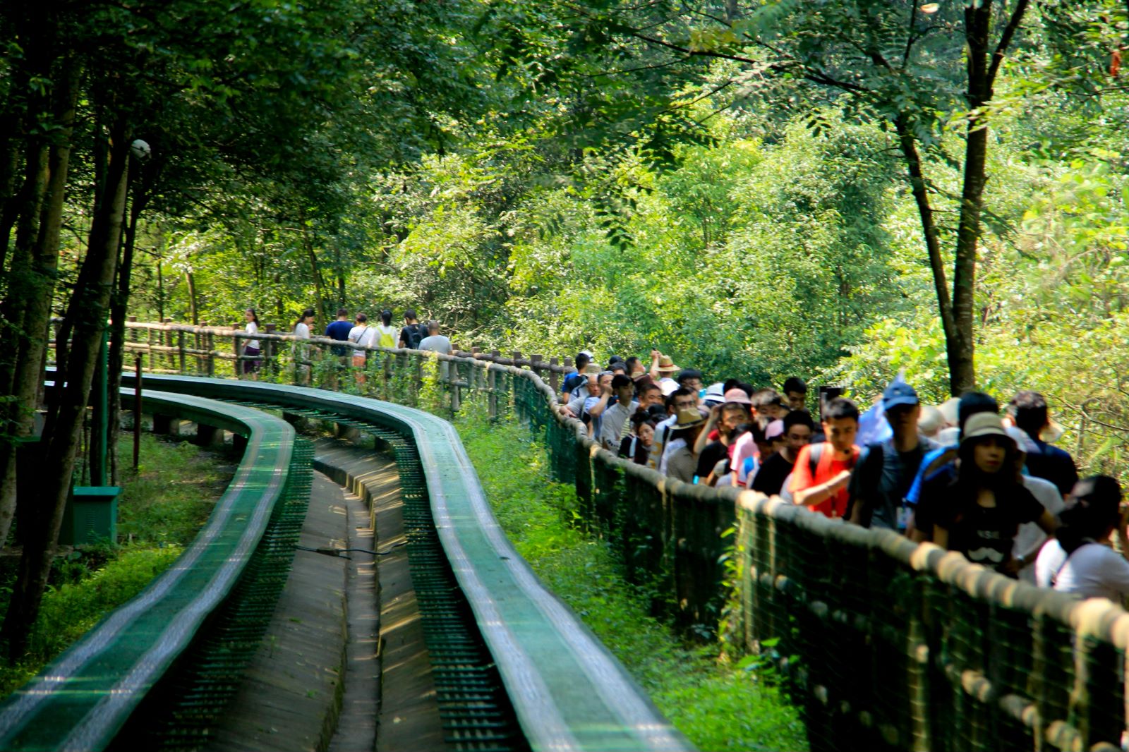 去张家界玩的攻略大全,湖南张家界旅游攻略4天3晚价格