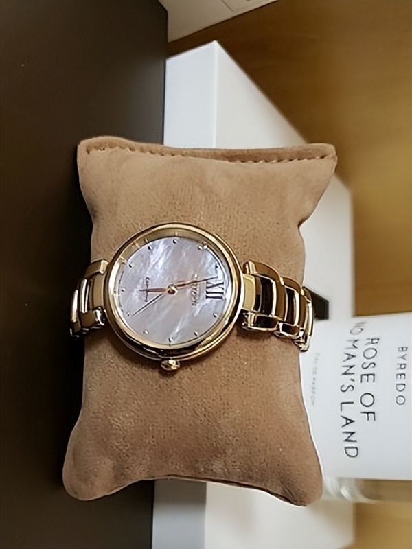 西铁城光动能男表,西铁城和西铁城光动能区别