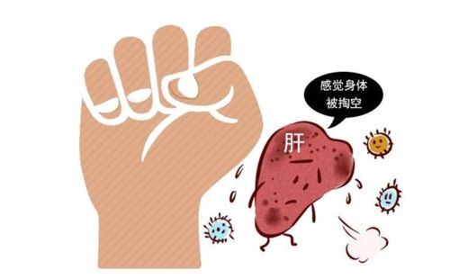 肝功能正常还吃养肝护肝药吗,肝功能下降会出现这5个信号