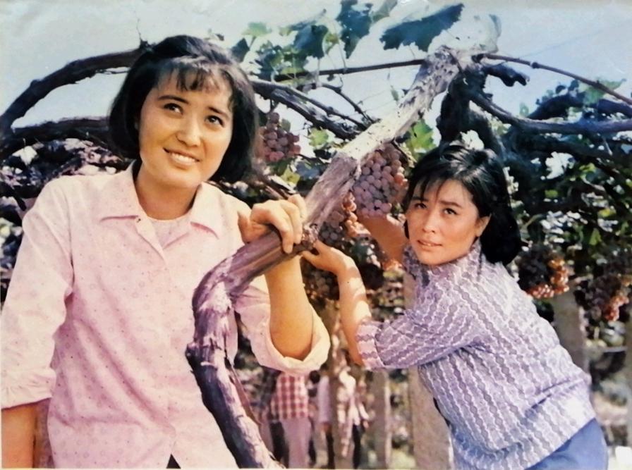 十部必看纪实片农村,怀旧经典农村老片