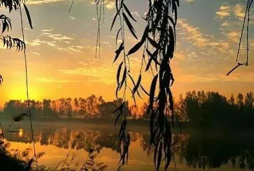 和字的解读,和字原意