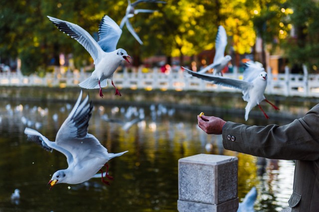 云南悠闲的夏天避暑攻略,云南舒服的夏天避暑攻略
