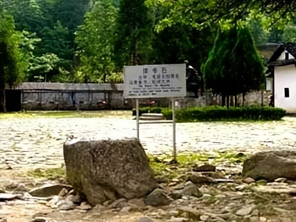 哈雷车主会福州分会,哈雷hog车主会八周年庆典巡游