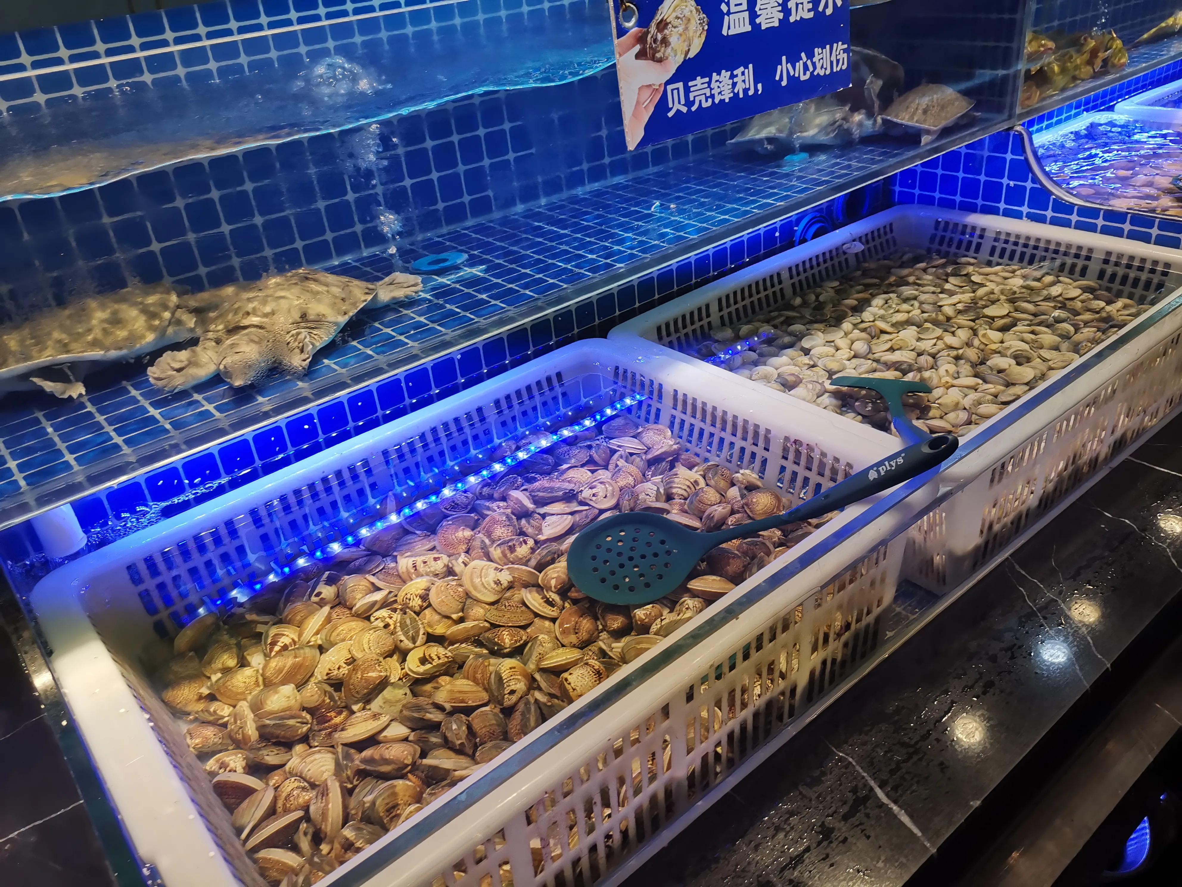 美食探店看着蒜蓉虾流口水,海鲜鲍鱼小龙虾螃蟹