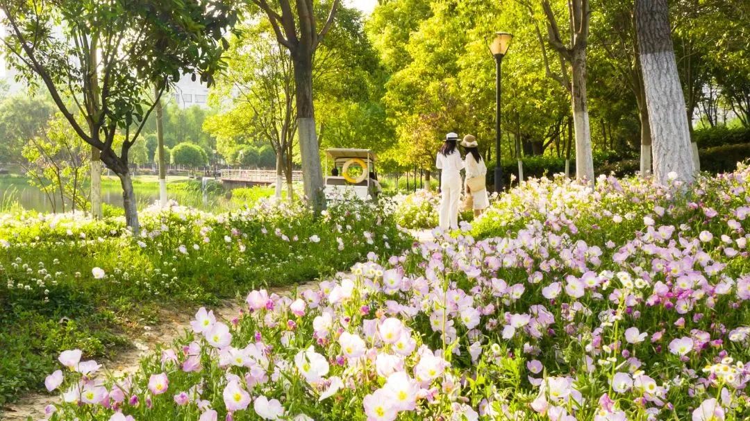 摄影家的2022年|张斌:心朝阳光向美而行