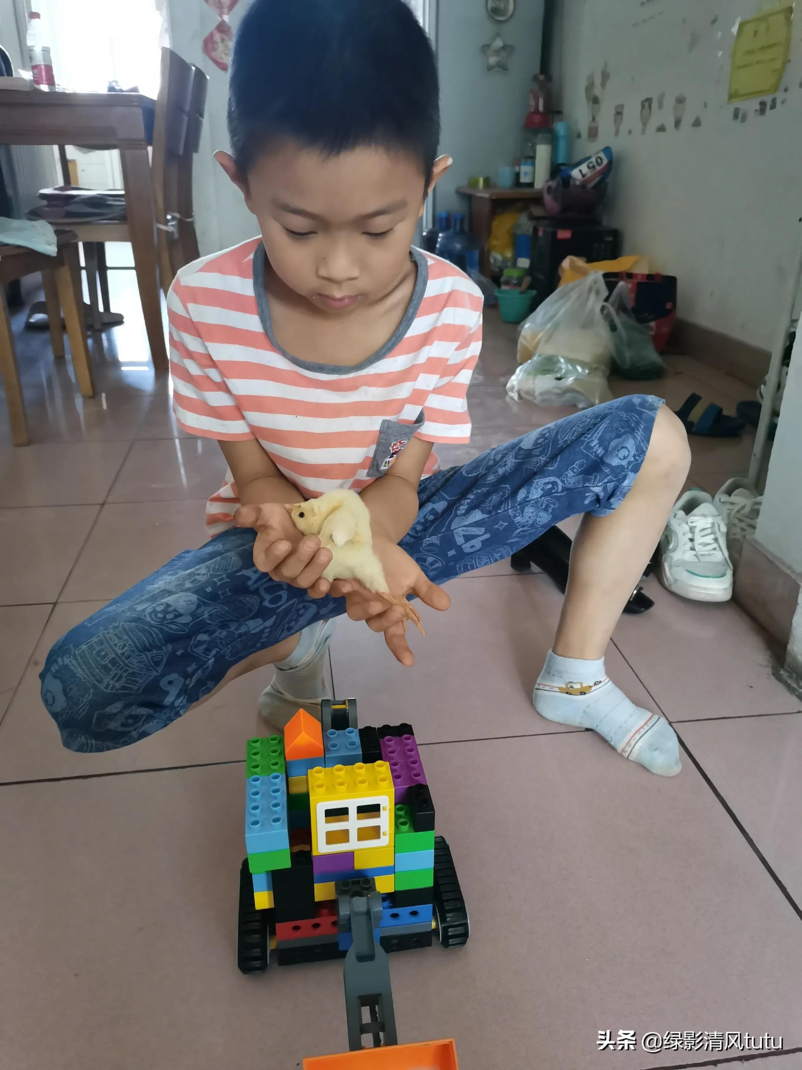 养不养孩子的区别,养宠物对孩子健康有什么影响