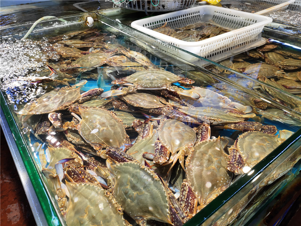 一招学会挑肥美梭子蟹,买梭子蟹攻略