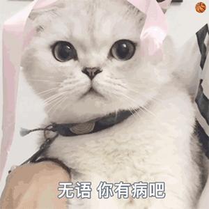 许雅钧被曝私生子已两岁，接不到男宝的小S，从此有儿子了？