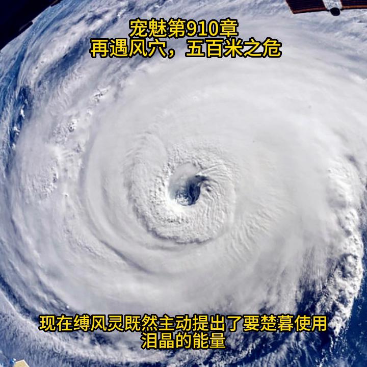 宠魅漫画直播,宠魅漫画免费观看