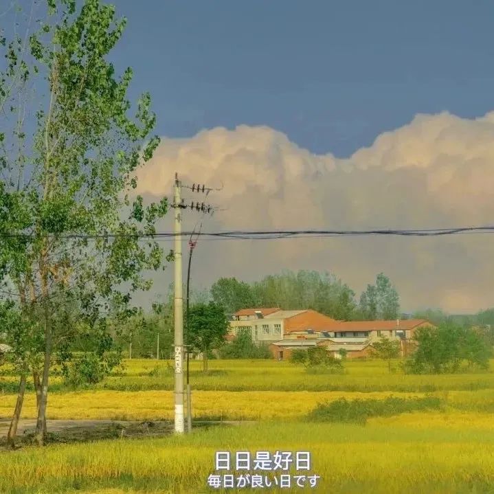 绿色背景图ins高级感小图,干净的背景图ins风冬日高清