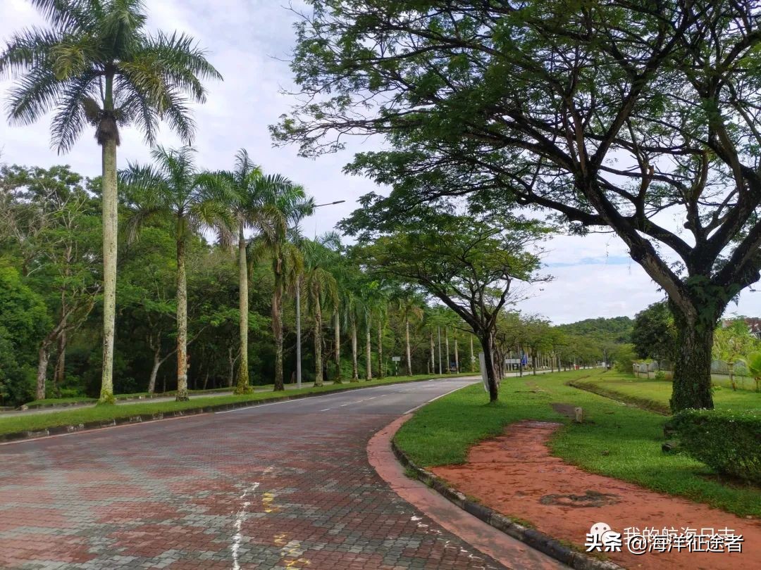 新时期流落马来西亚的国际海员有点乐不思蜀