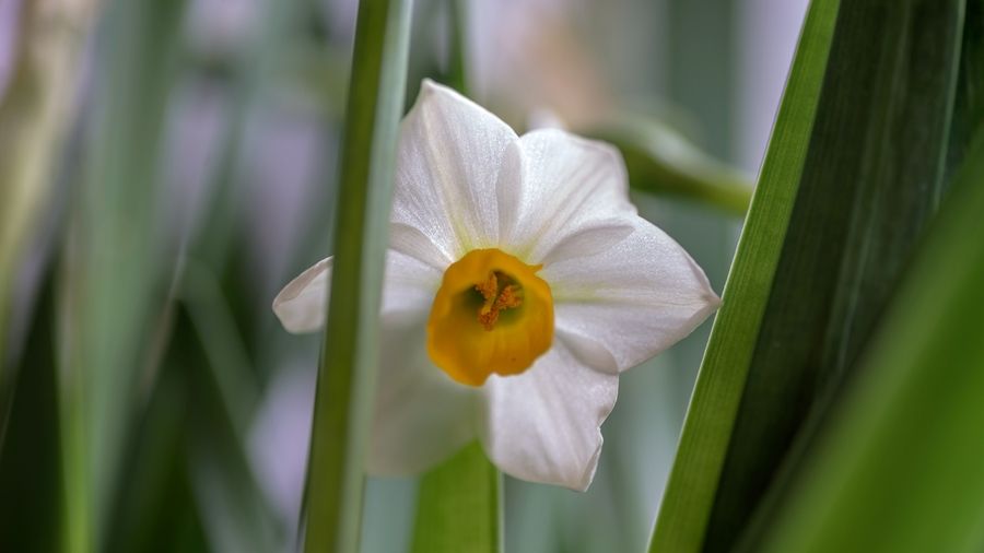 常用洗洁精会致癌吗,洗洁精是害人精说法对吗
