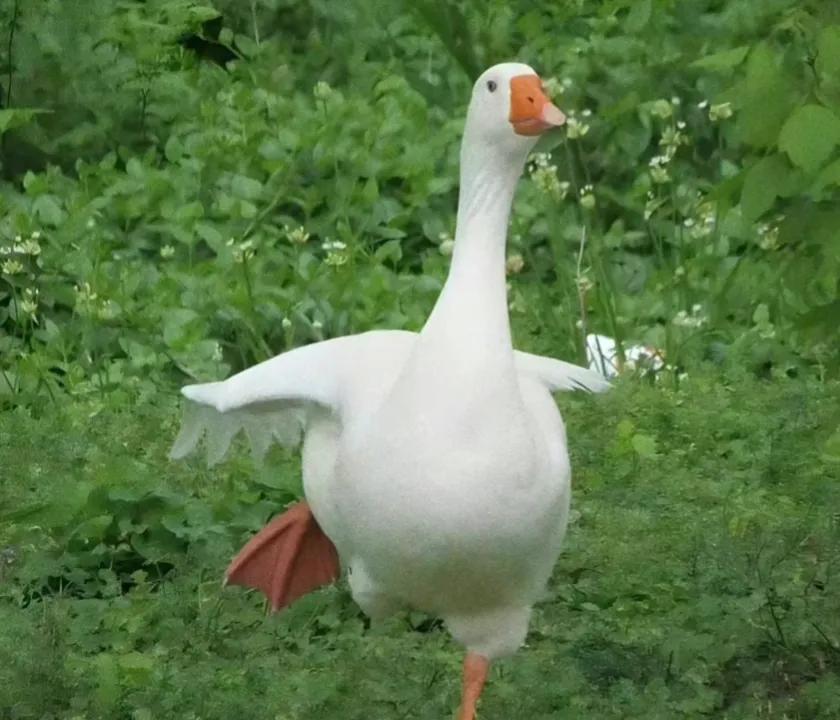 找一份合适的工作怎么这么难,刚刚大学毕业找什么工作最好